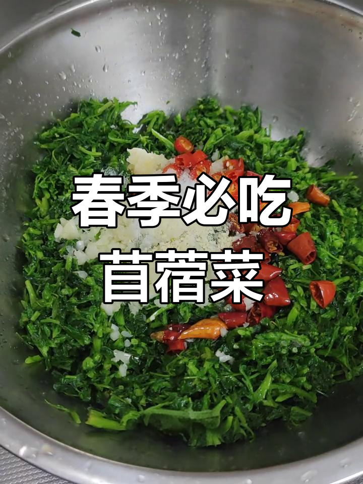 春天野菜大揭秘,苜蓿菜的独特做法你尝过吗?