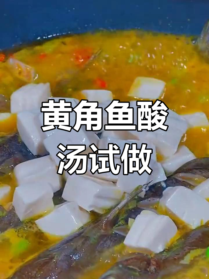 试试酸汤黄角鱼,口感超赞!
