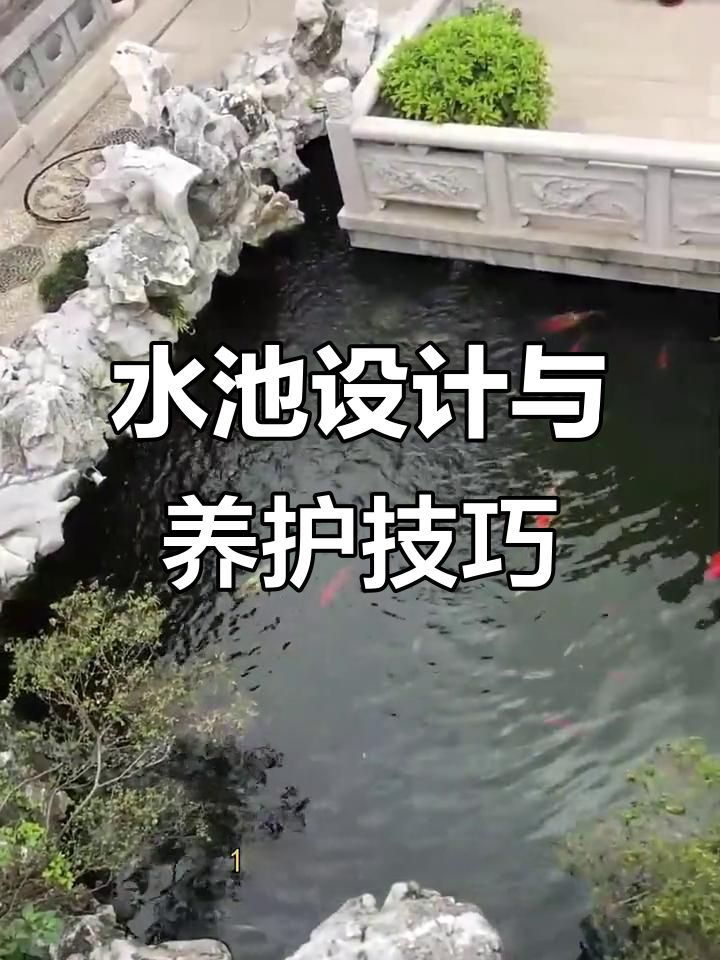 庭院水池设计四大要点,打造健康生态鱼池