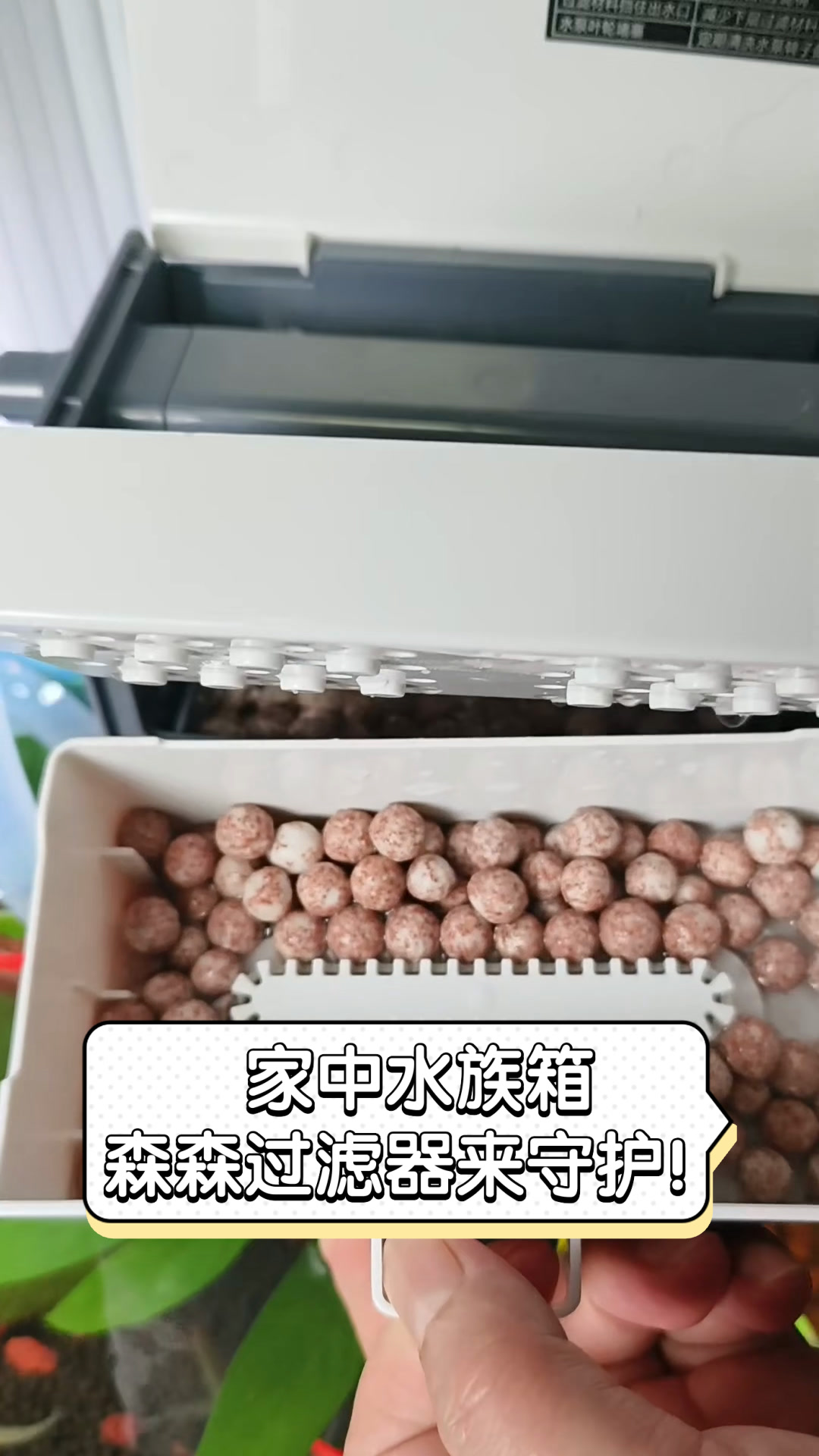 家中水族箱,森森过滤器来守护!