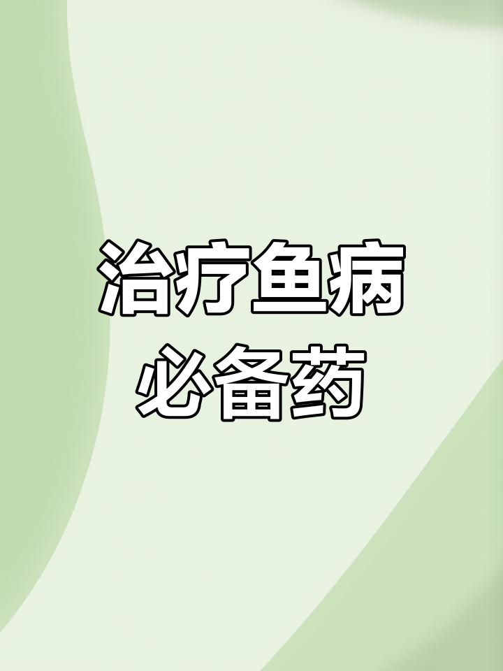 庆大霉素:多病害治疗必备