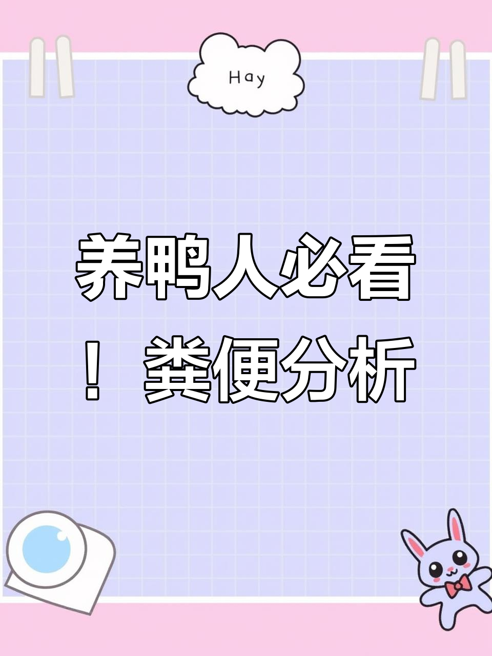 鸭群粪便观察:从颜色到病情判断