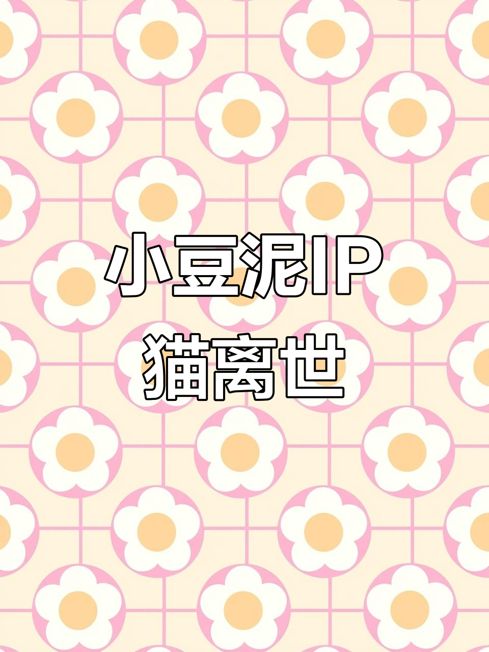 暹罗猫“小豆泥”原型去世,表情包系列已达30余套