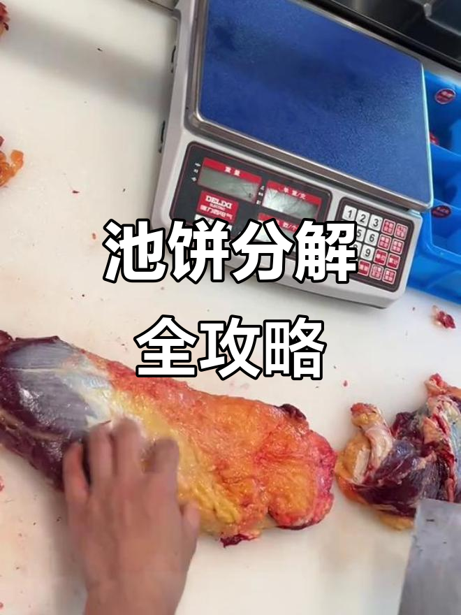 永市鲜活牛肉店：匙柄分解技巧大揭秘，口感更佳