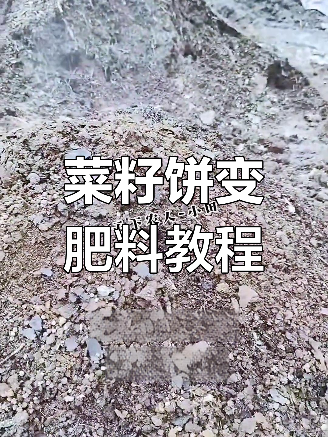 一吨菜籽饼发酵成两吨有机肥,简单步骤教你做