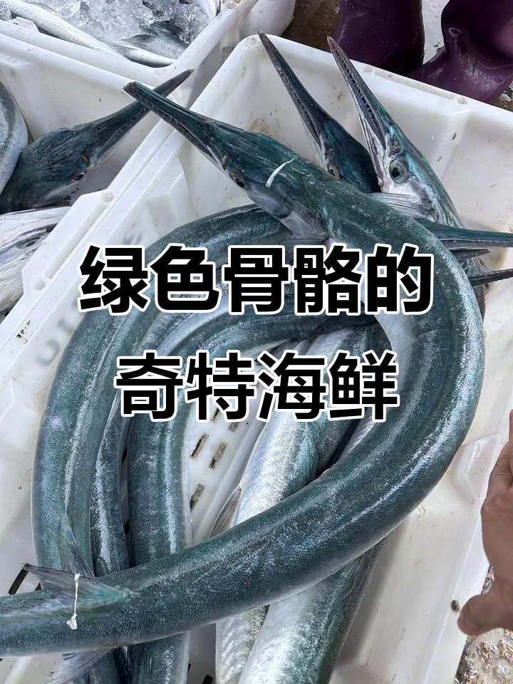 骨头是绿色的也能吃？揭秘海洋猎奇颌针鱼的美味秘密