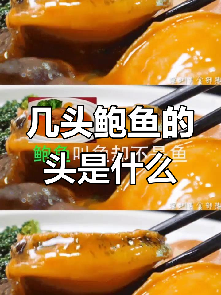 鲍鱼的头数到底是什么意思?原来是这样!