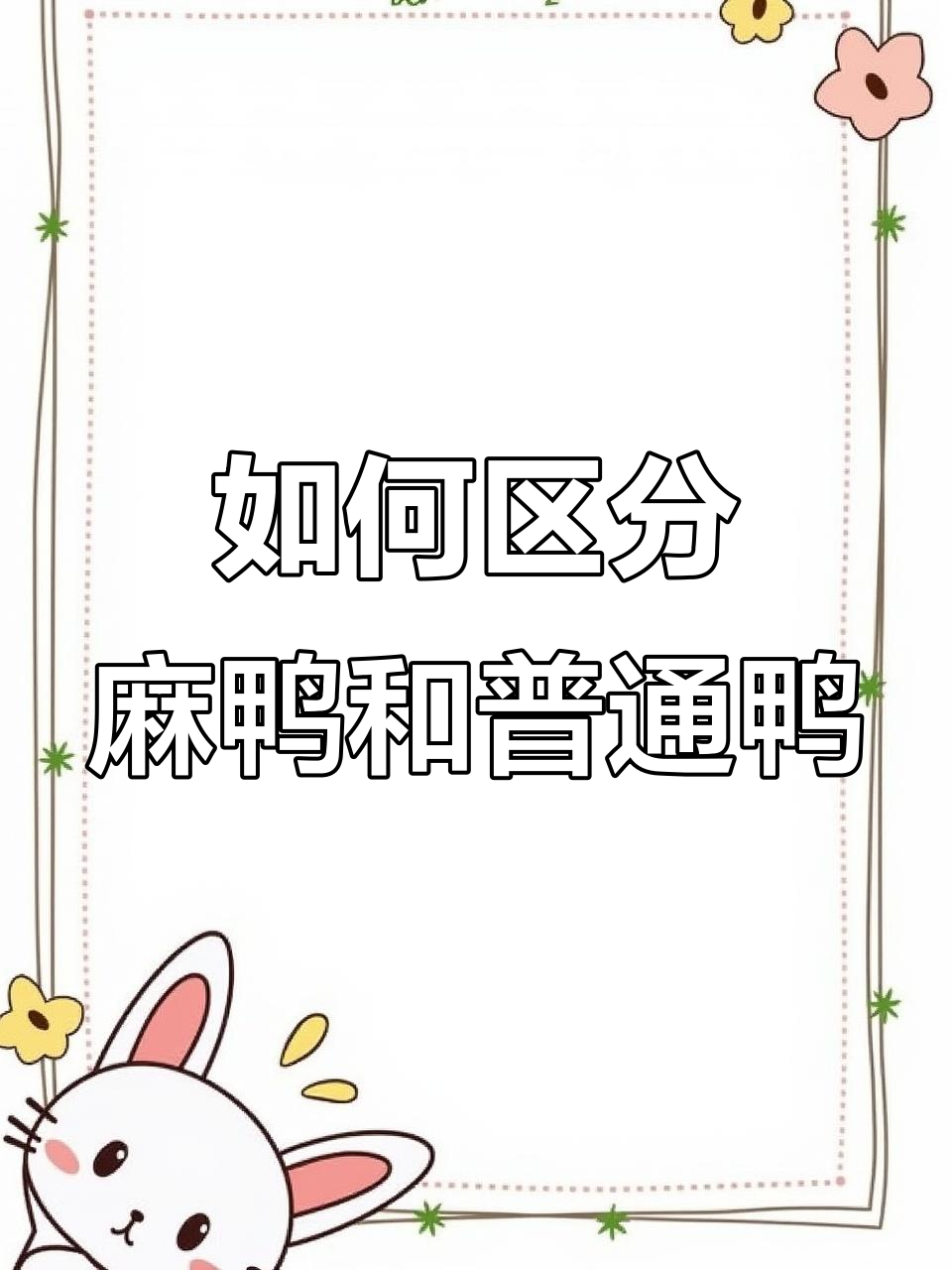 麻鸭与普通鸭的区别:五招轻松辨别