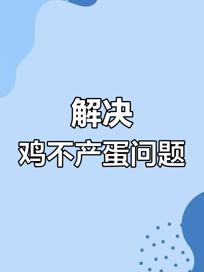鸡不下蛋?试试这个简单方法