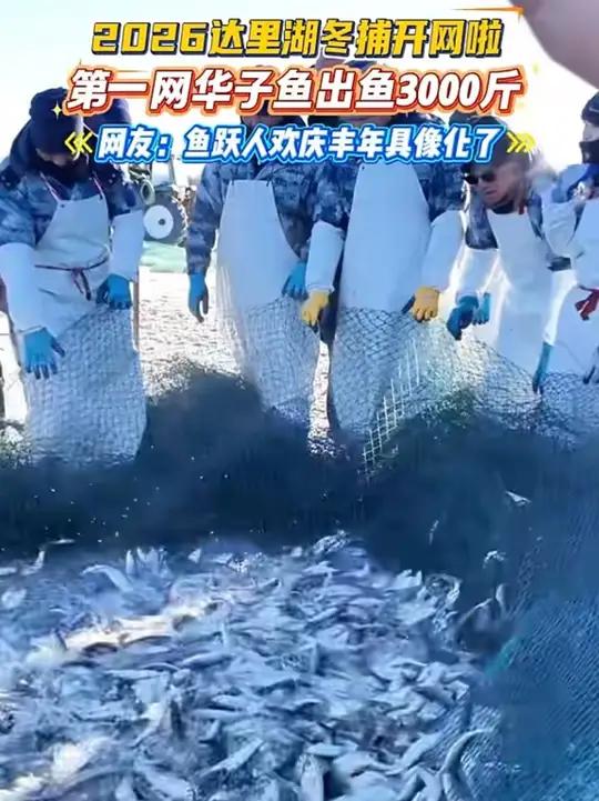 2026达里湖冬捕开网啦——第一网华子鱼3000斤!