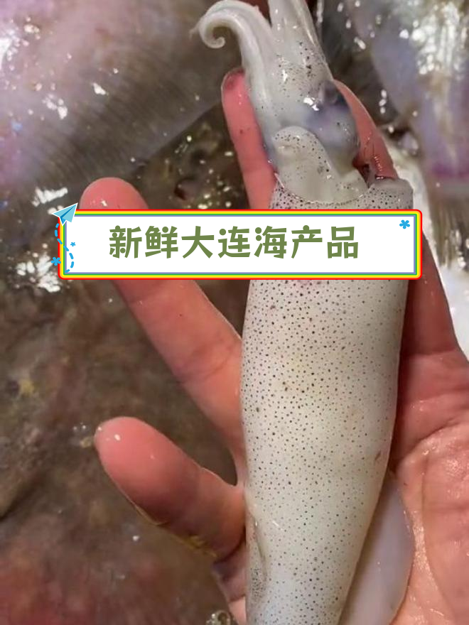 大连周边海鲜大揭秘,鱼虾种类丰富