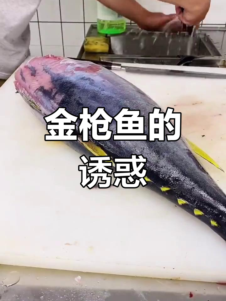 金枪鱼鲜美无比,红肉口感丰富,回味无穷