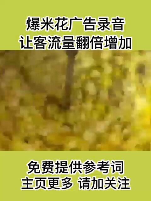 球形爆米花顺口溜广告录音分享