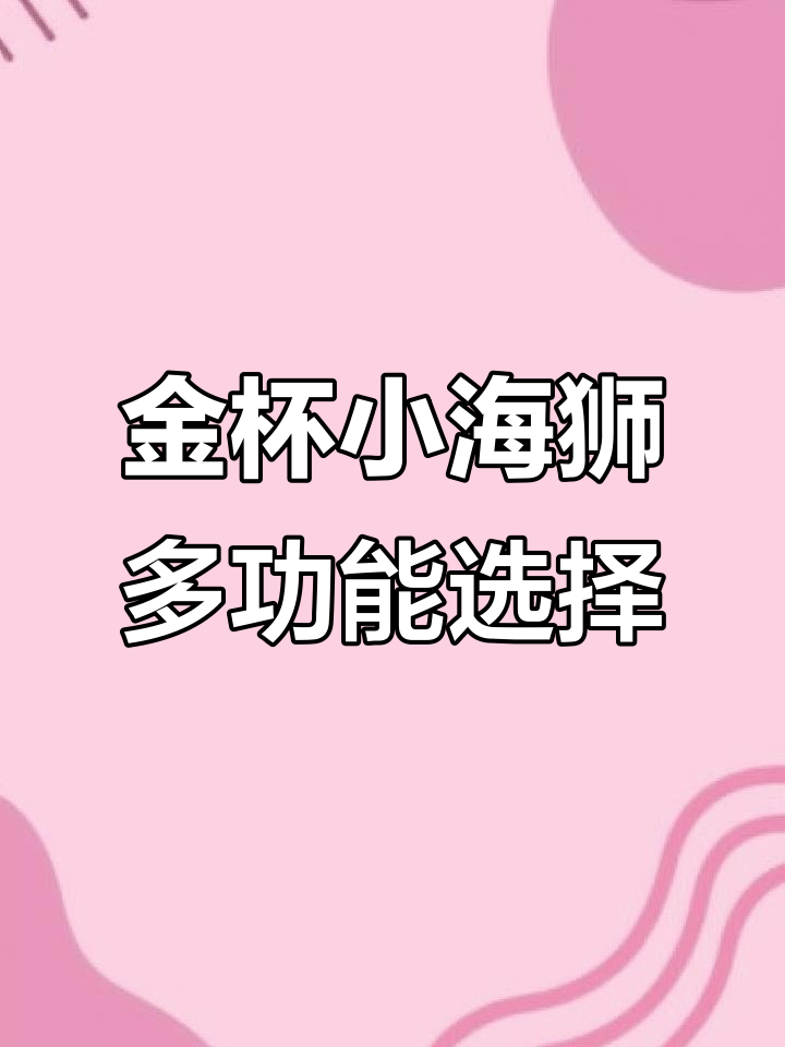 金杯小海狮:动力强劲,配置丰富,座位可选