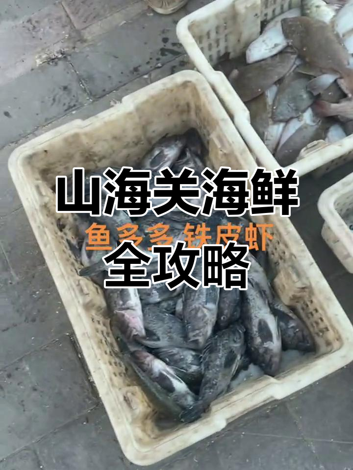 秦皇岛山海关海鲜大揭秘，偏口鱼、铁皮虾一网打尽