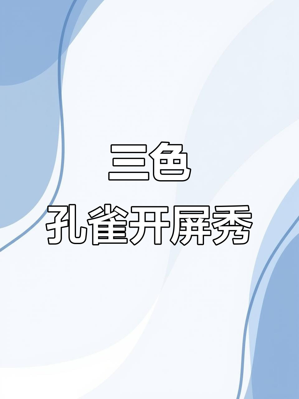 蓝白花孔雀开屏,彩云披身惊艳全场
