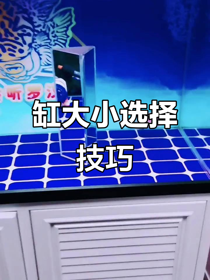 小缸适合小体型鱼,大缸随意养,省水又高效!