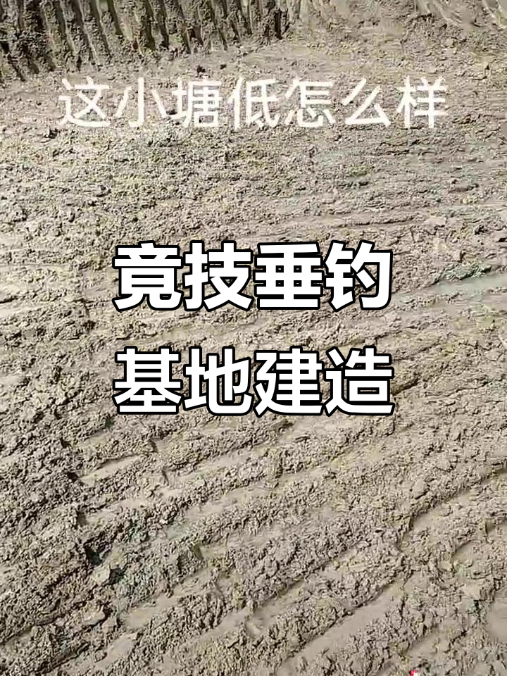 打造一流竞技垂钓基地,鱼塘设计完美呈现