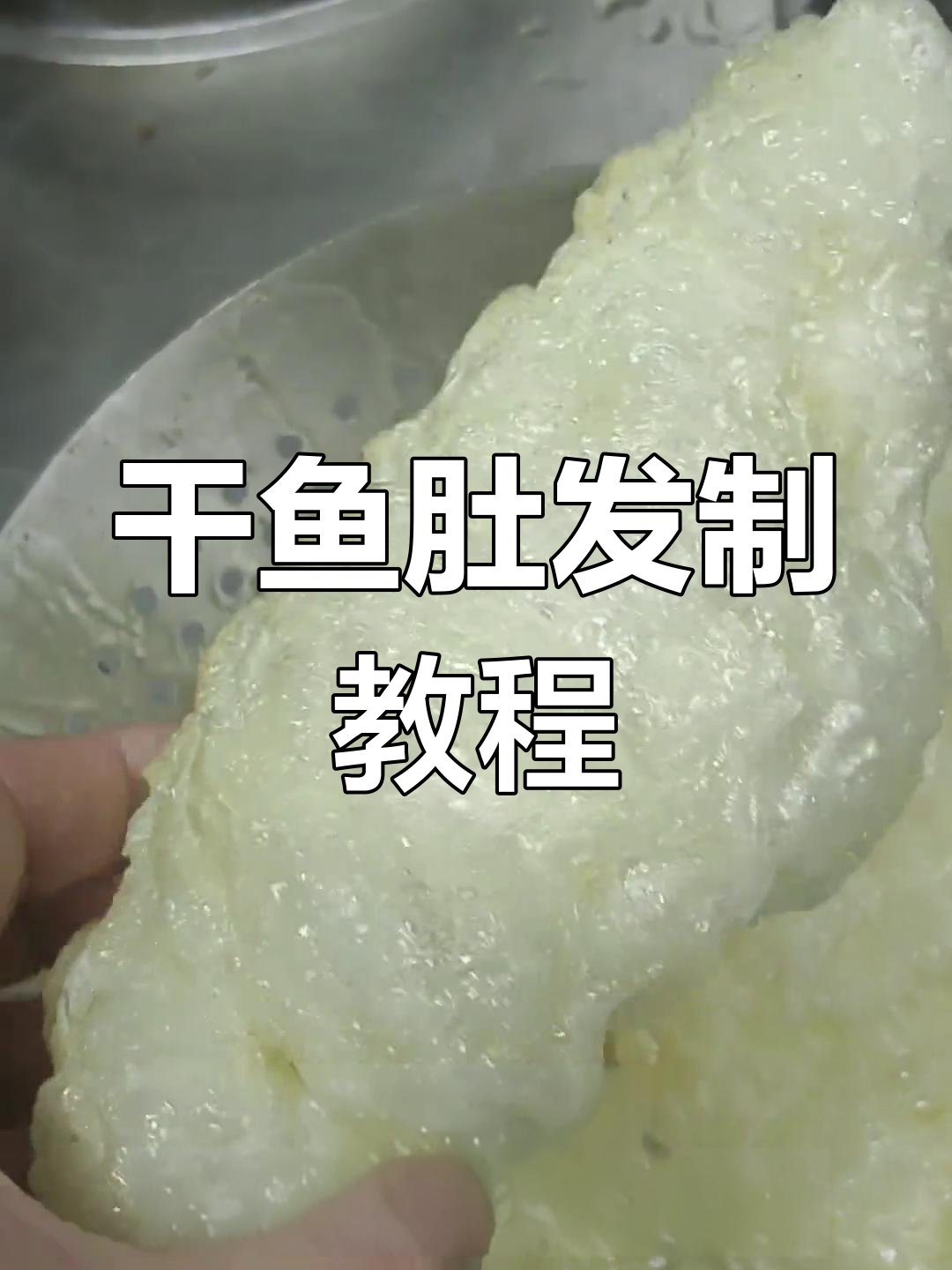 干鱼肚发泡技巧大揭秘,掌握鲁菜经典做法