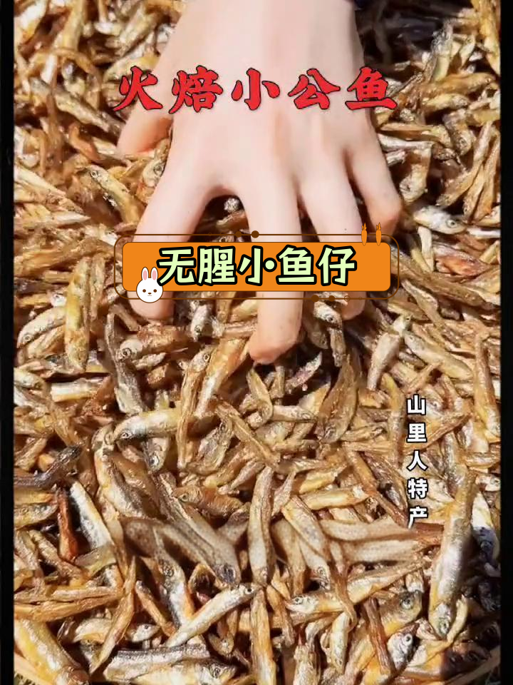 湖南淡水小公鱼,无腥无泥,炒炸皆宜