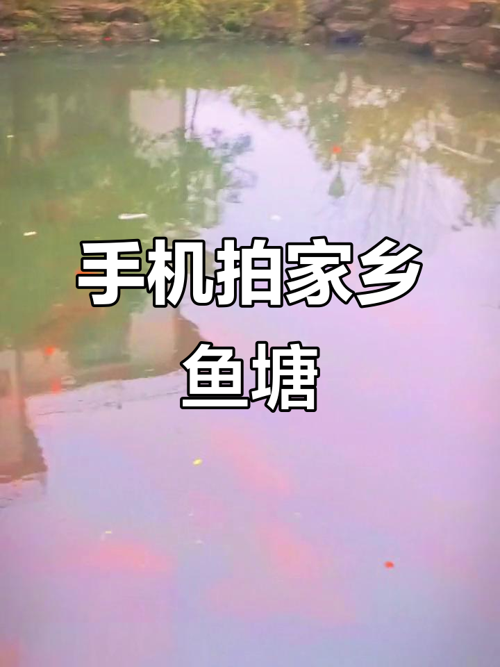 用手机记录家乡鱼塘美景,感受乡村温暖风情