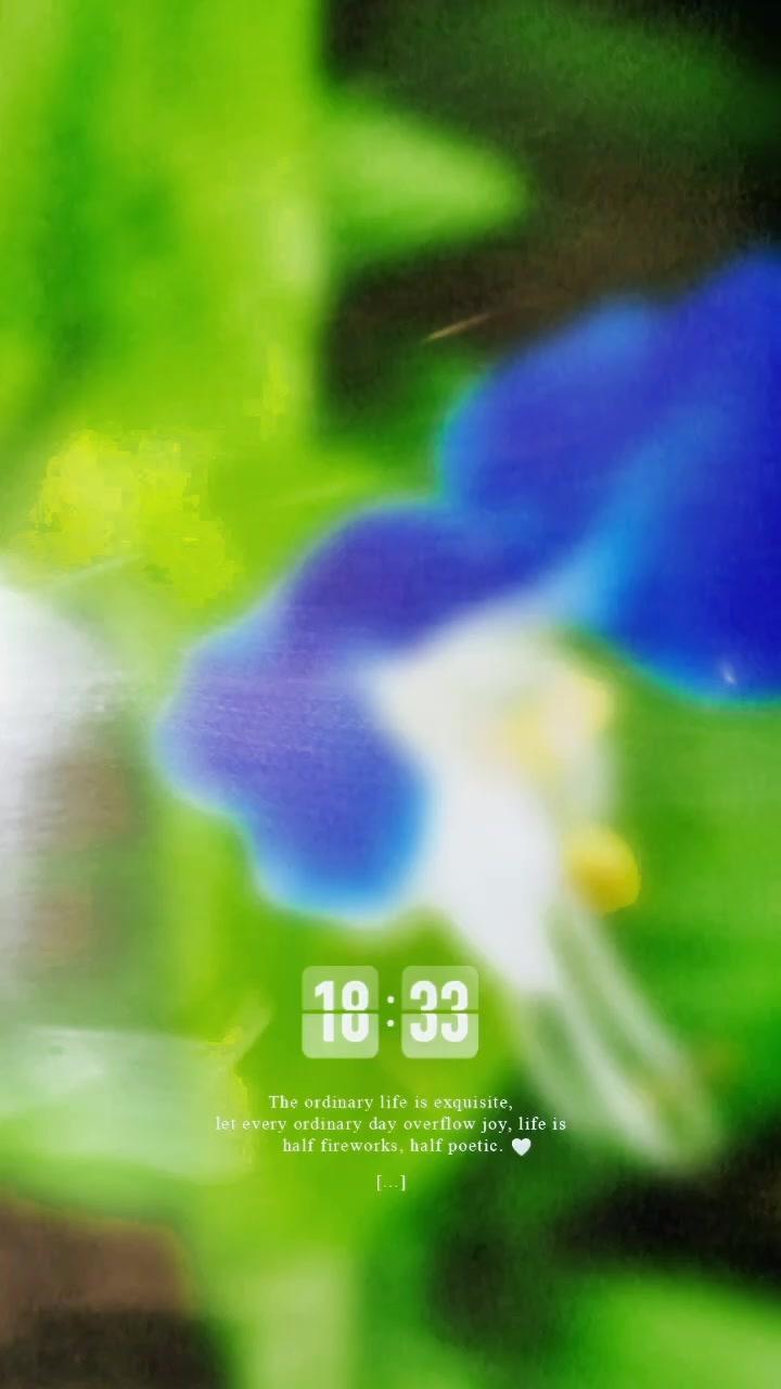鸭趾草 最治愈的便是这世间的风景 春已至花已开愿山河无恙人间皆安 淡淡然掠过神秘又美丽 总