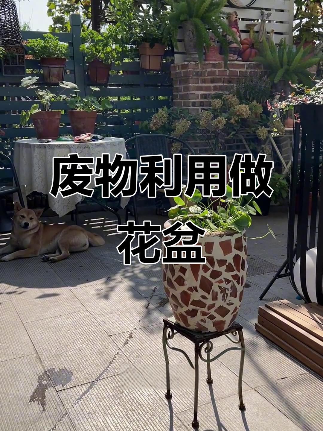 利用废旧瓷砖改造破罐子,打造独特花盆