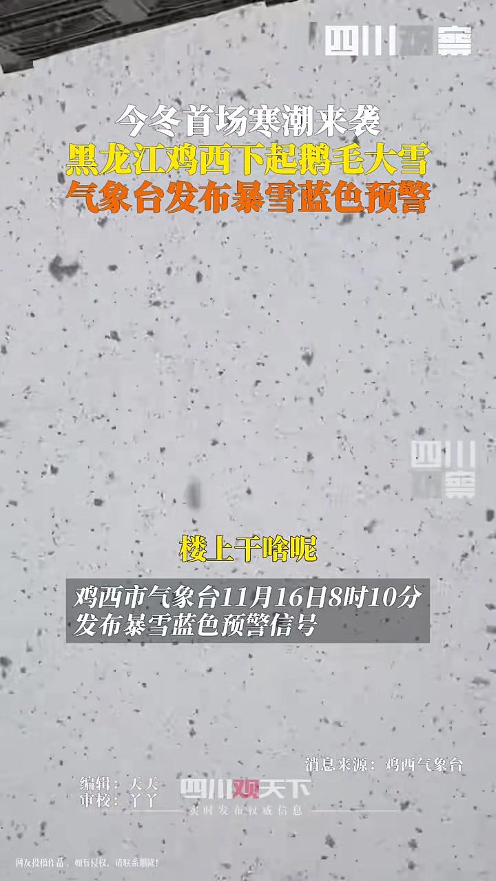 今冬首场寒潮来袭,黑龙江鸡西下起鹅毛大雪