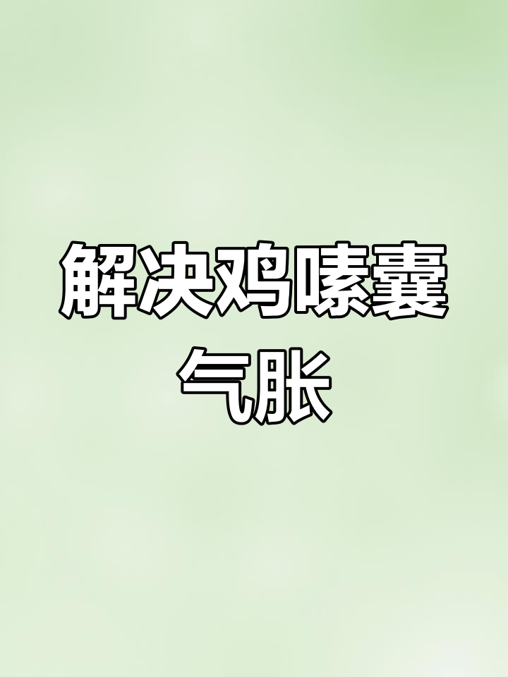 鸡嗉囊炎的省钱治疗方法,轻松解决气胀问题