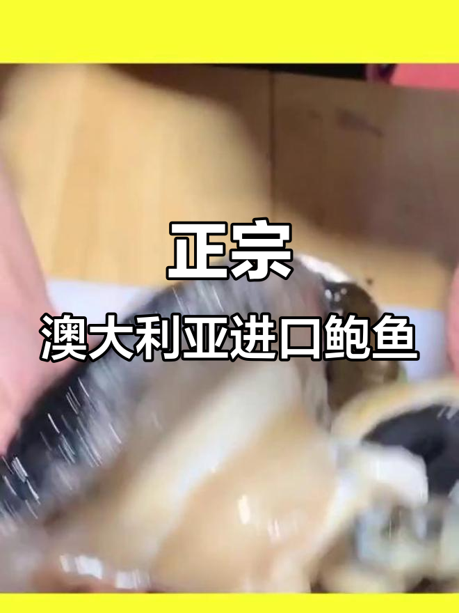 澳洲黑金鲍与巴掌大澳鲍的肉质对比,哪个更鲜美?