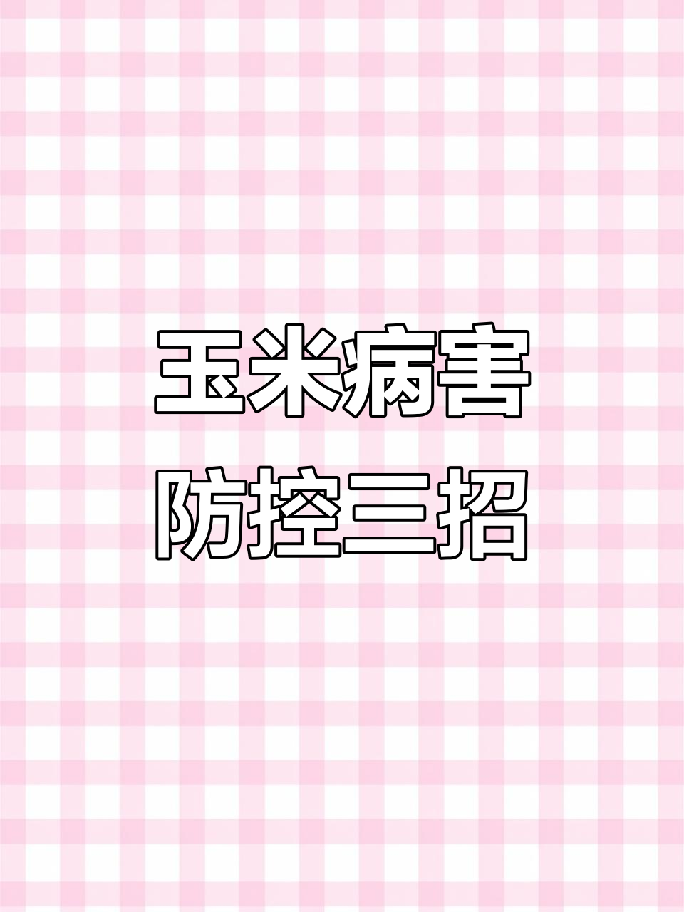 玉米青枯病与茎腐病的防治技巧,三步搞定高效果