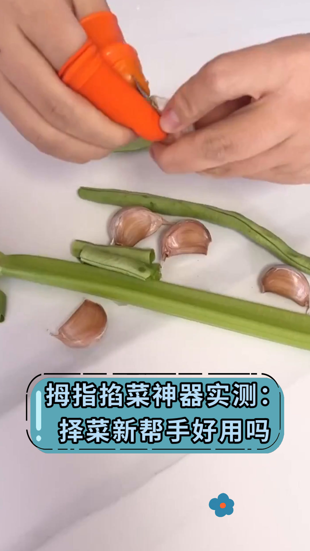 拇指掐菜神器实测:择菜新帮手好用吗
