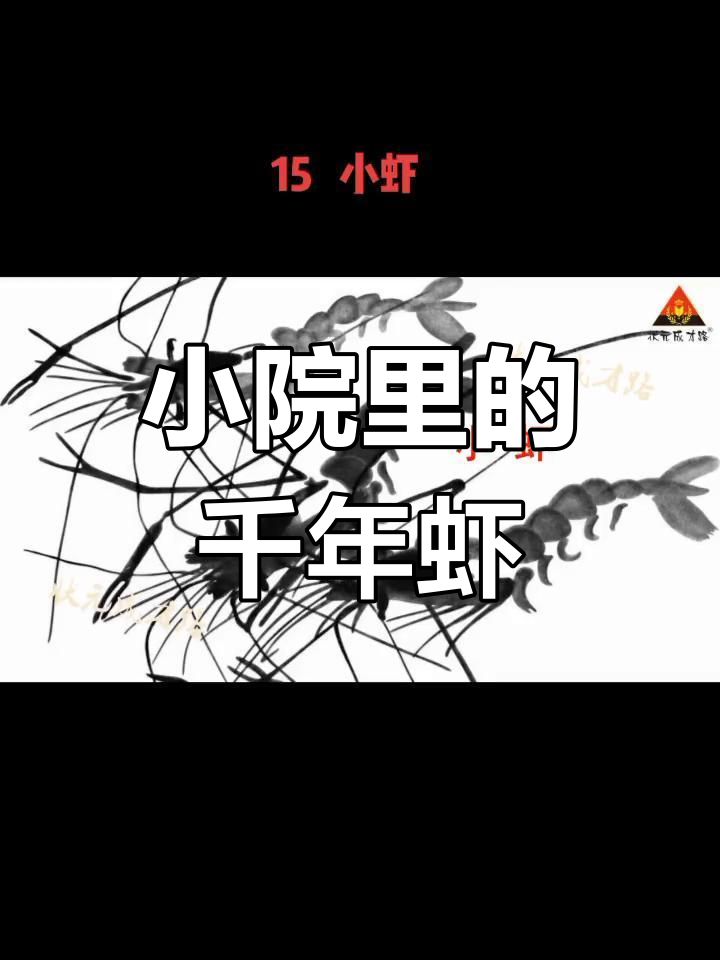 葡萄架下的千年虾,小溪捉来的透明小虾