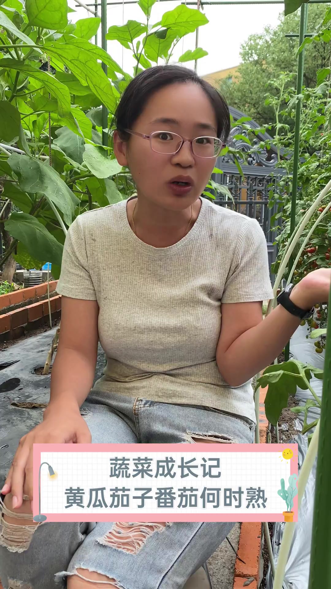 蔬菜成长记,黄瓜茄子番茄何时熟?