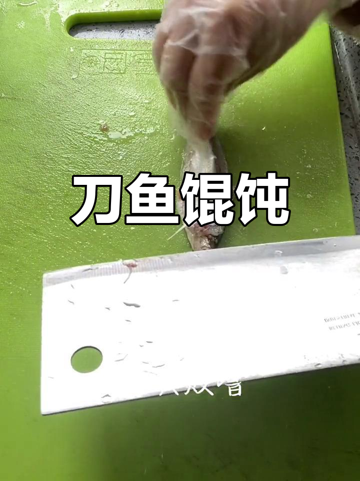 春季限定美味,刀鱼馄饨与鲜美鱼汤