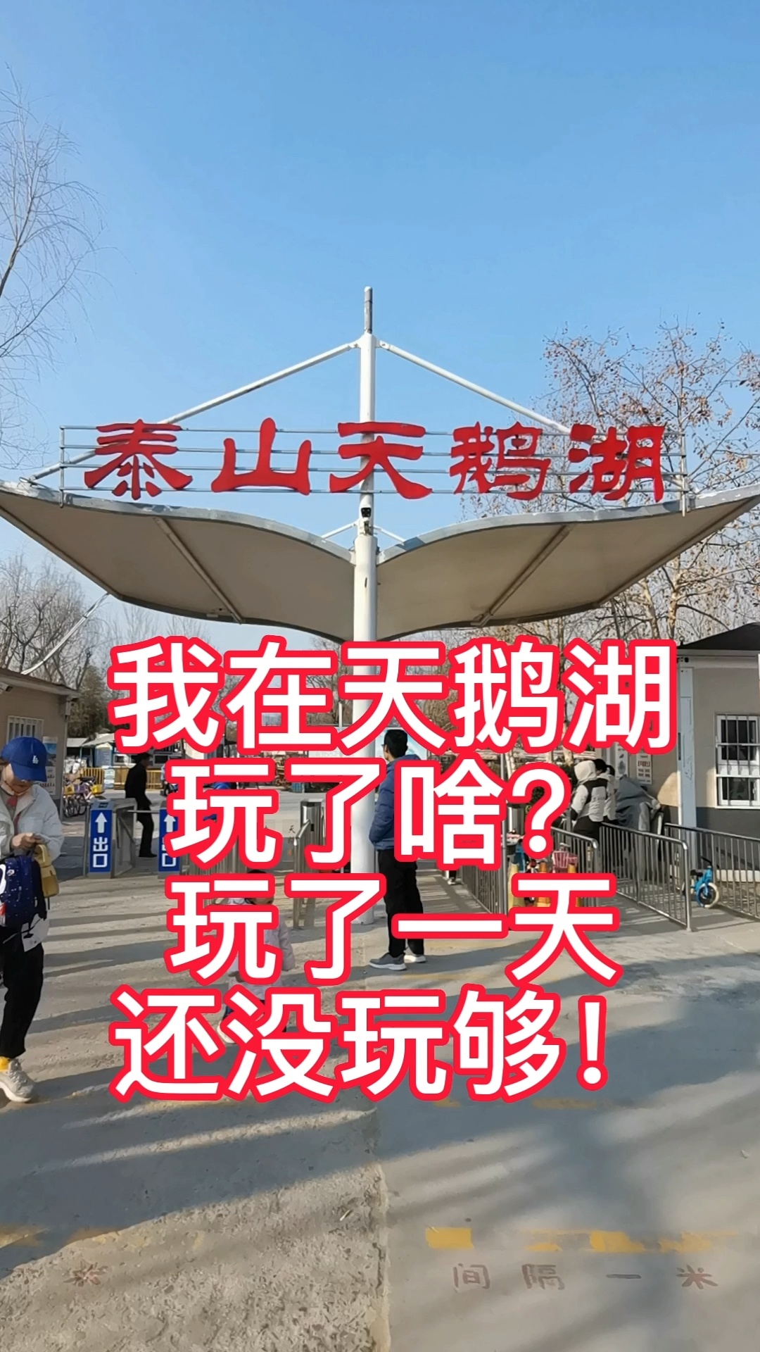 泰安天鹅湖游玩