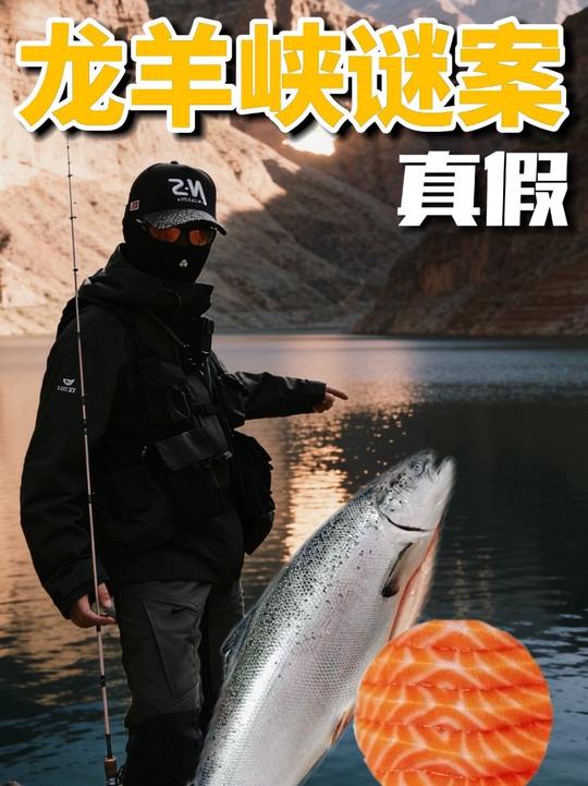 龙羊峡真假三文鱼,我们关注的是入侵问题野钓钓鱼路亚户外钓鱼路亚野钓