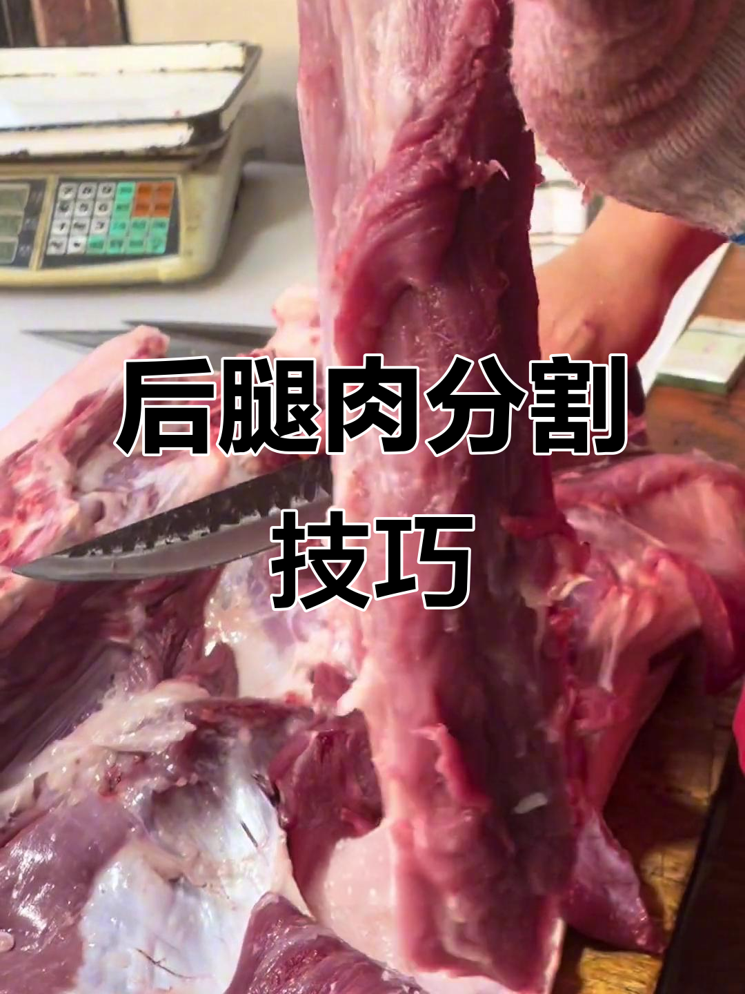 土猪肉后腿分解全过程，刀工精湛展示