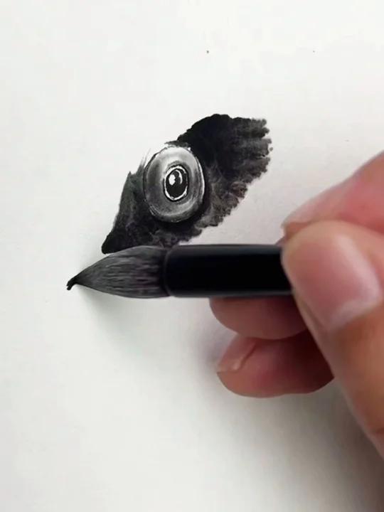 画鱼