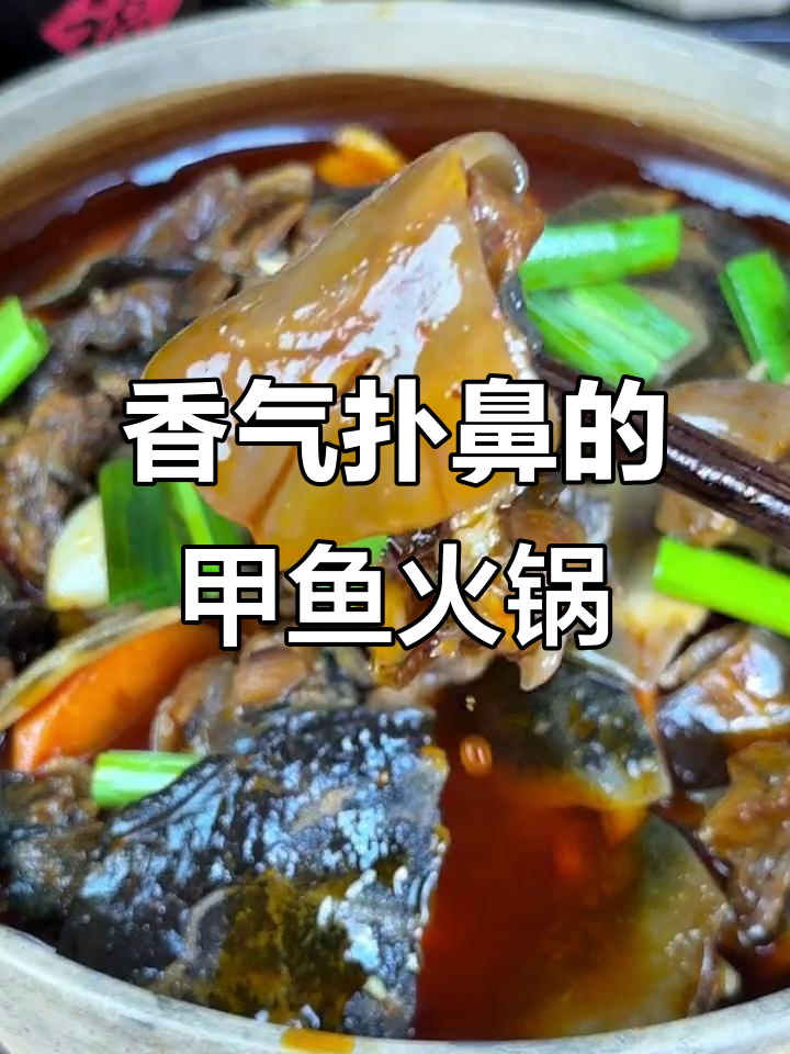 湖北荆州甲鱼火锅,加热即食,香浓美味,超赞!