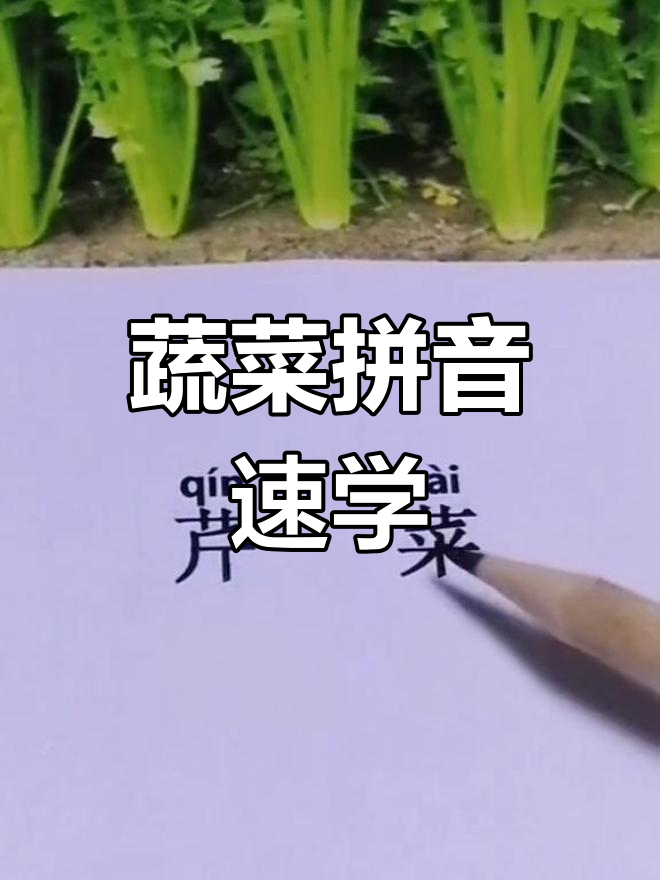 蔬菜拼读大挑战,轻松学会拼音打字