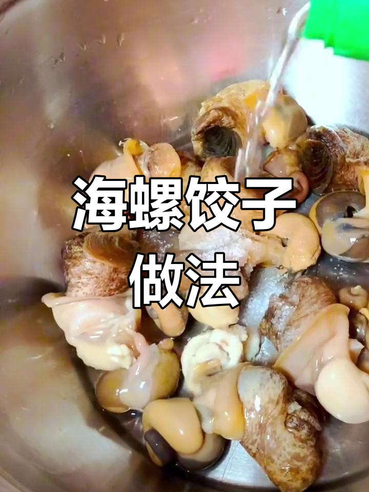 纯手工海螺水饺,鲜美独特