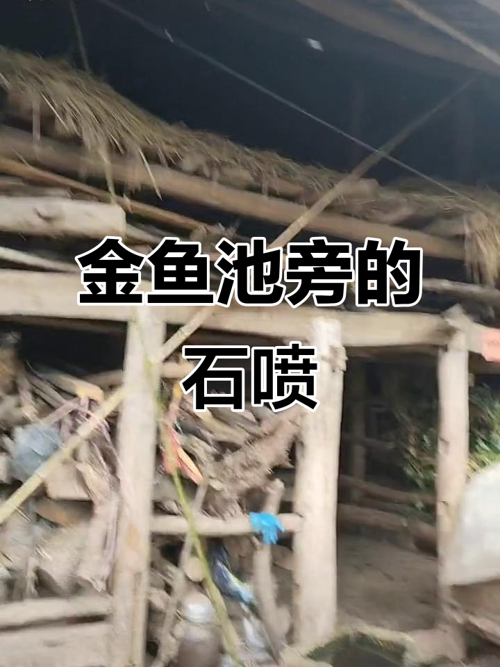 古老石喷与金鱼池的奇妙之旅