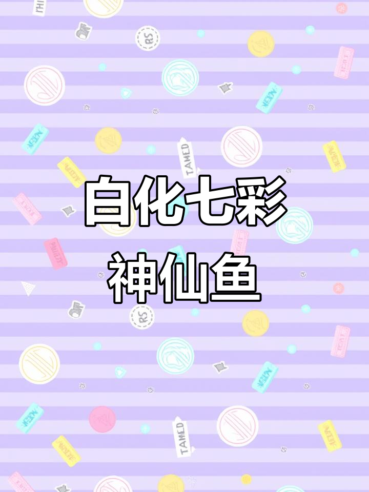 七彩神仙鱼赤瞳白化黄金苗,稀有品种揭秘