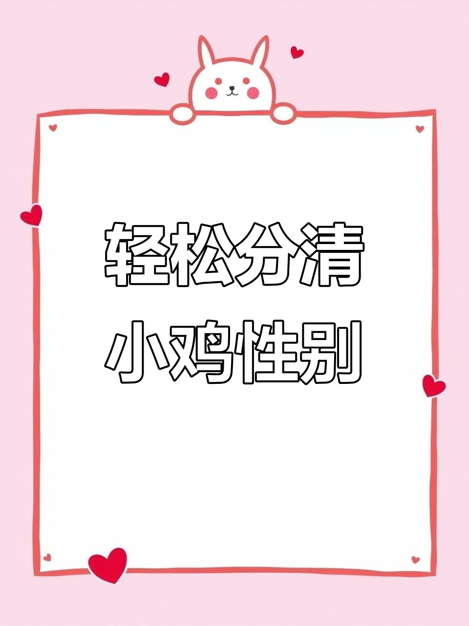 小鸡公母分辨技巧,一看就懂