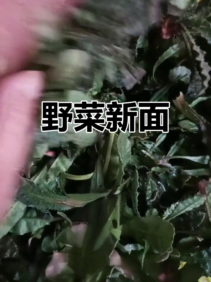 野菜新鲜,孩子不爱吃青菜?试试这款独特面条!