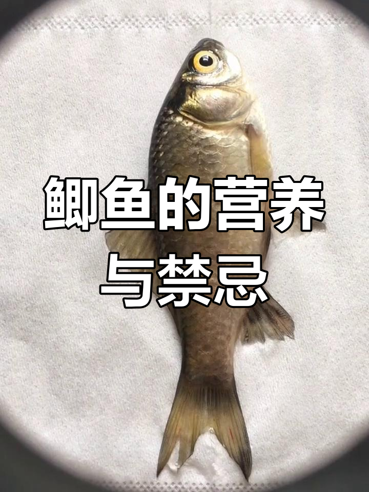鲫鱼营养丰富,适合虚弱者食用,感冒时不宜多食