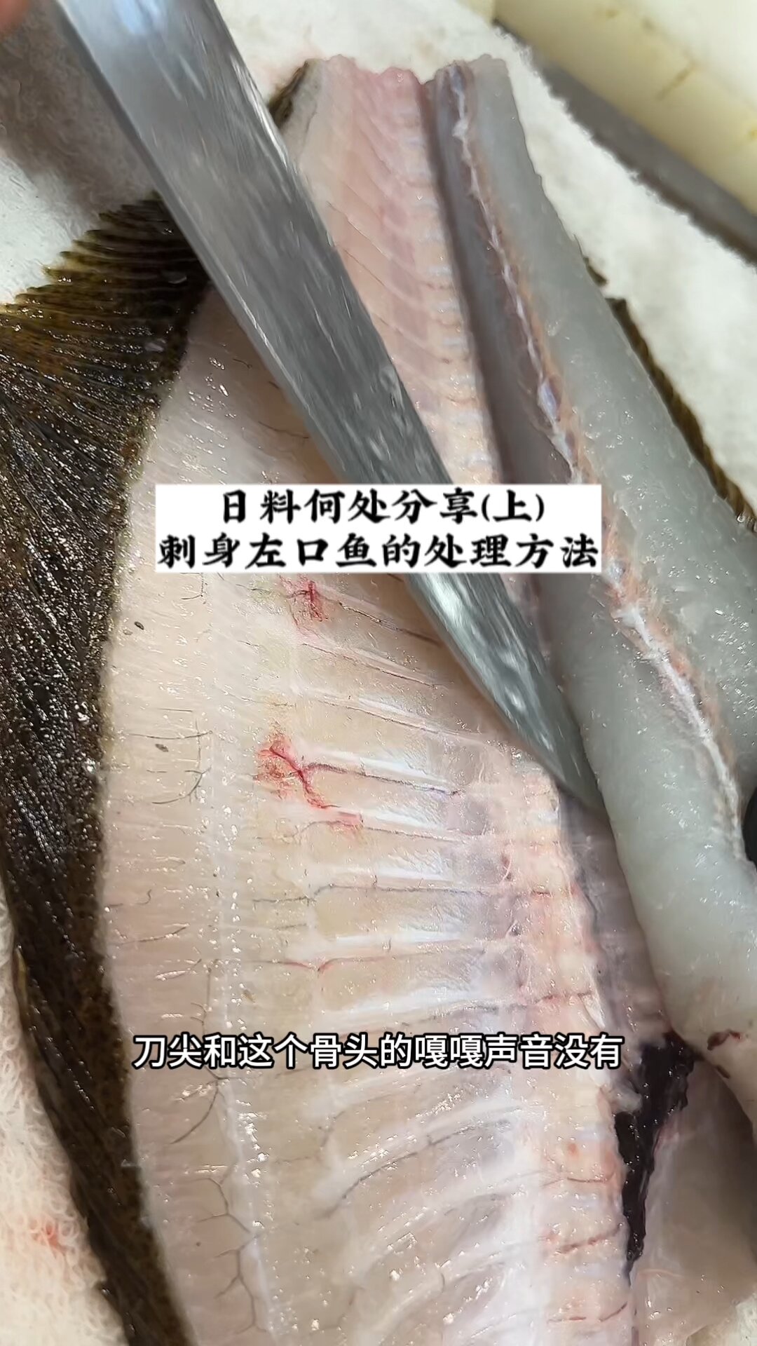 一身躺平的左口鱼,又叫比目鱼。属于鲽鱼科