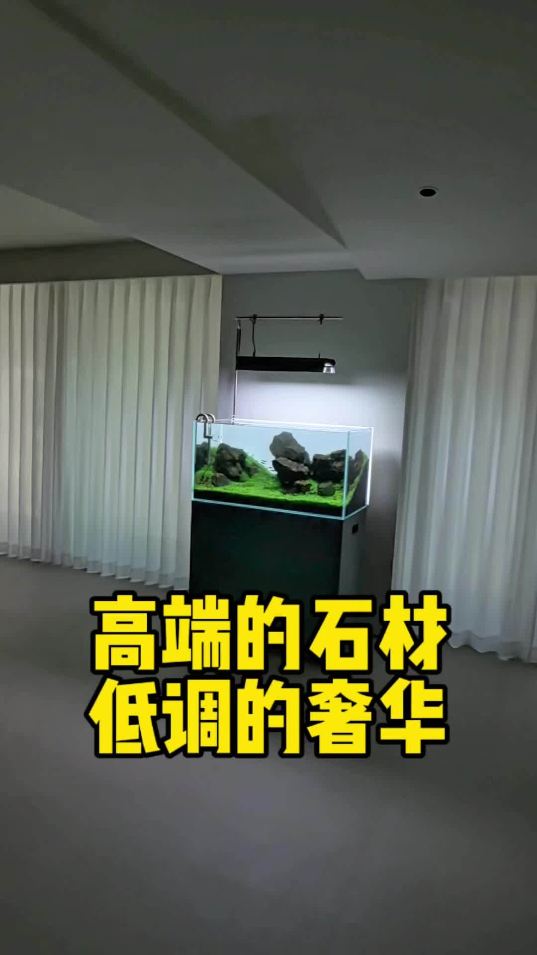 高端的石材往往采用最简单的摆放方式!大家觉得这个景怎么样?水族 养鱼 造景 鱼缸 鱼缸里的