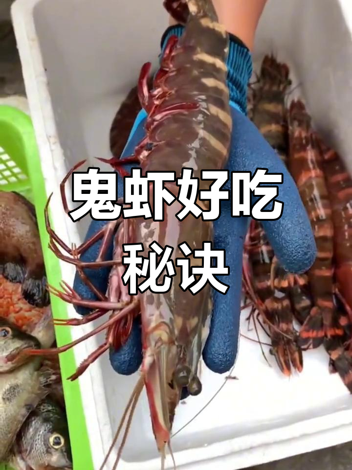 深海“鬼虾”肉质鲜美,斑节与花虾的区别解析